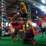 Dollu Kunitha performance on the occasion of Birthday of Dalai Lama at Bailkuppe